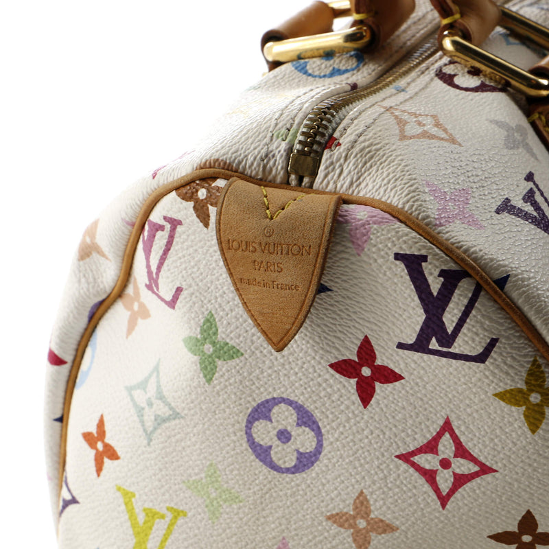 Louis Vuitton Speedy Handbag Multicolor