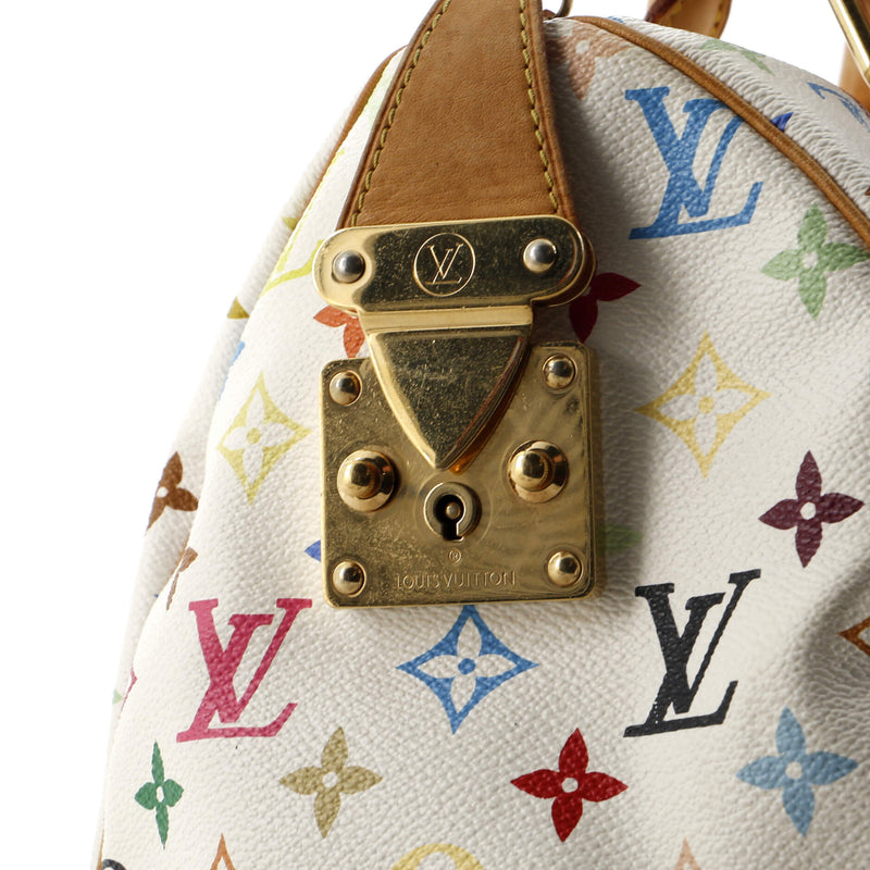 Louis Vuitton Speedy Handbag Multicolor