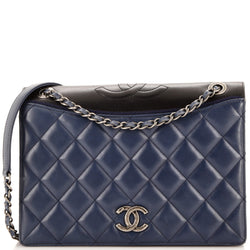 Chanel Ballerine Flap Bag Quilted