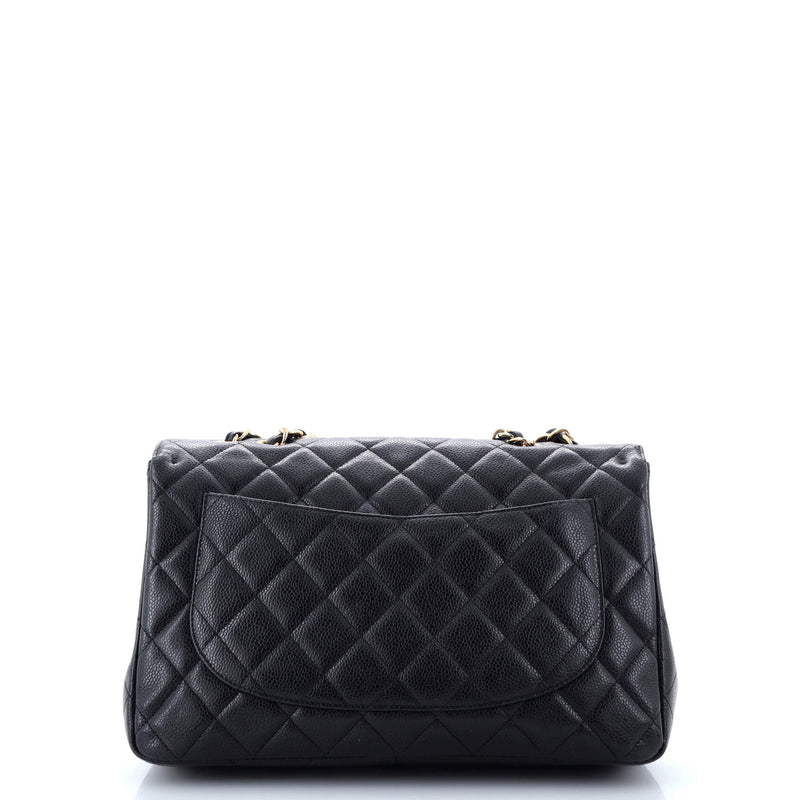 Chanel Classic Single Flap Bag Quilted