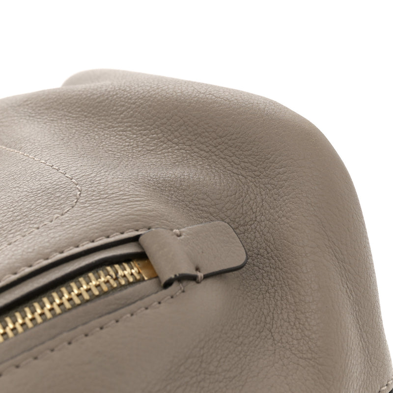 Chloe Suede Calfskin Small Faye Backpack