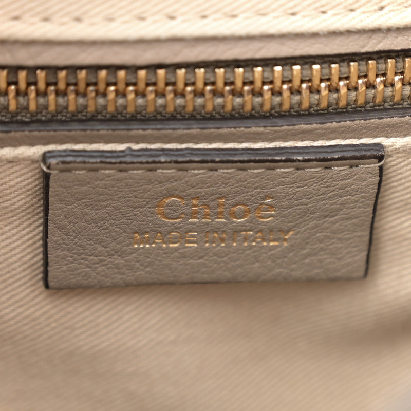 Chloe Suede Calfskin Small Faye Backpack