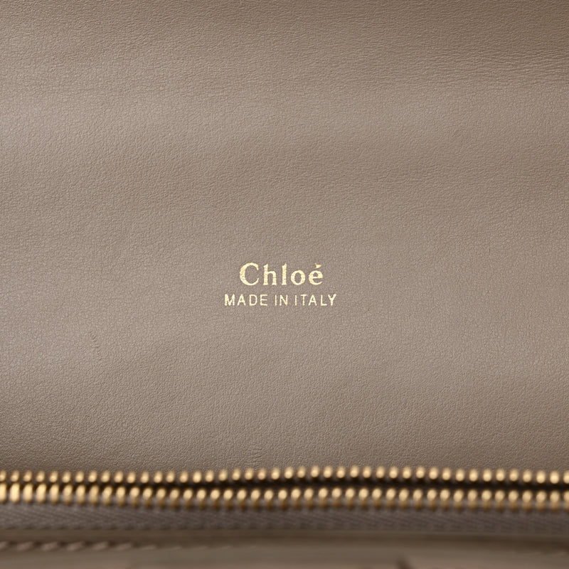 Chloe Shiny Goatskin Calfskin Mini Aby