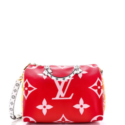 Louis Vuitton Speedy Bandouliere Bag