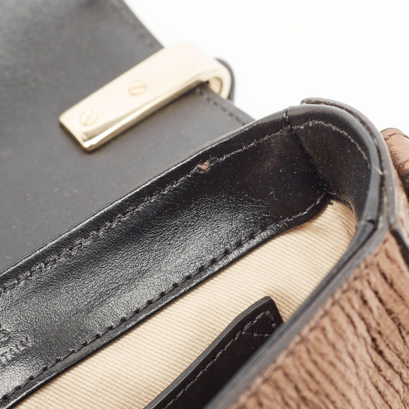 Chloe Metallic Multicolor Leather Mini C