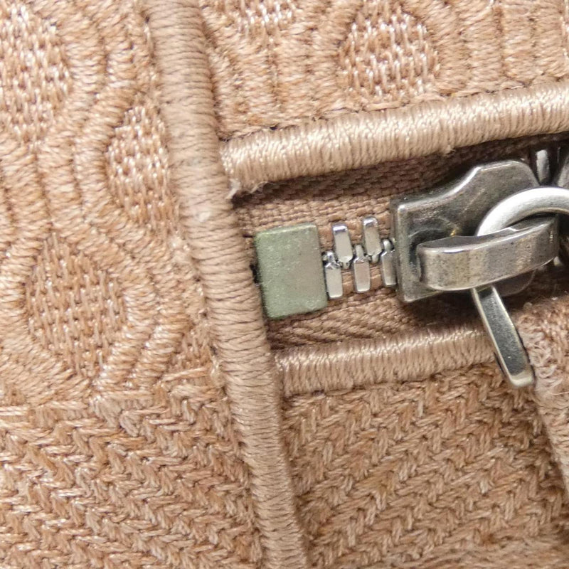 Dior Travel Vanity Case Bag