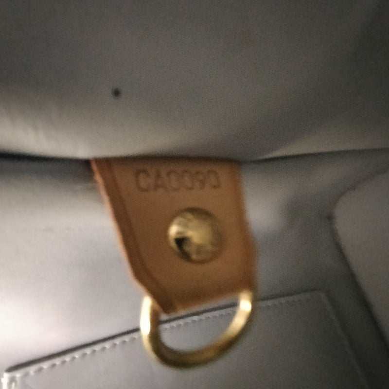 Louis Vuitton Lv Hand Bag Houston Olive