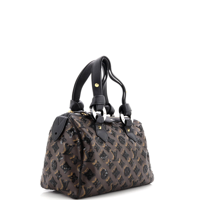 Louis Vuitton Speedy Handbag Limited