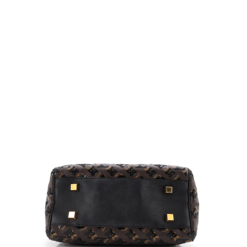 Louis Vuitton Speedy Handbag Limited