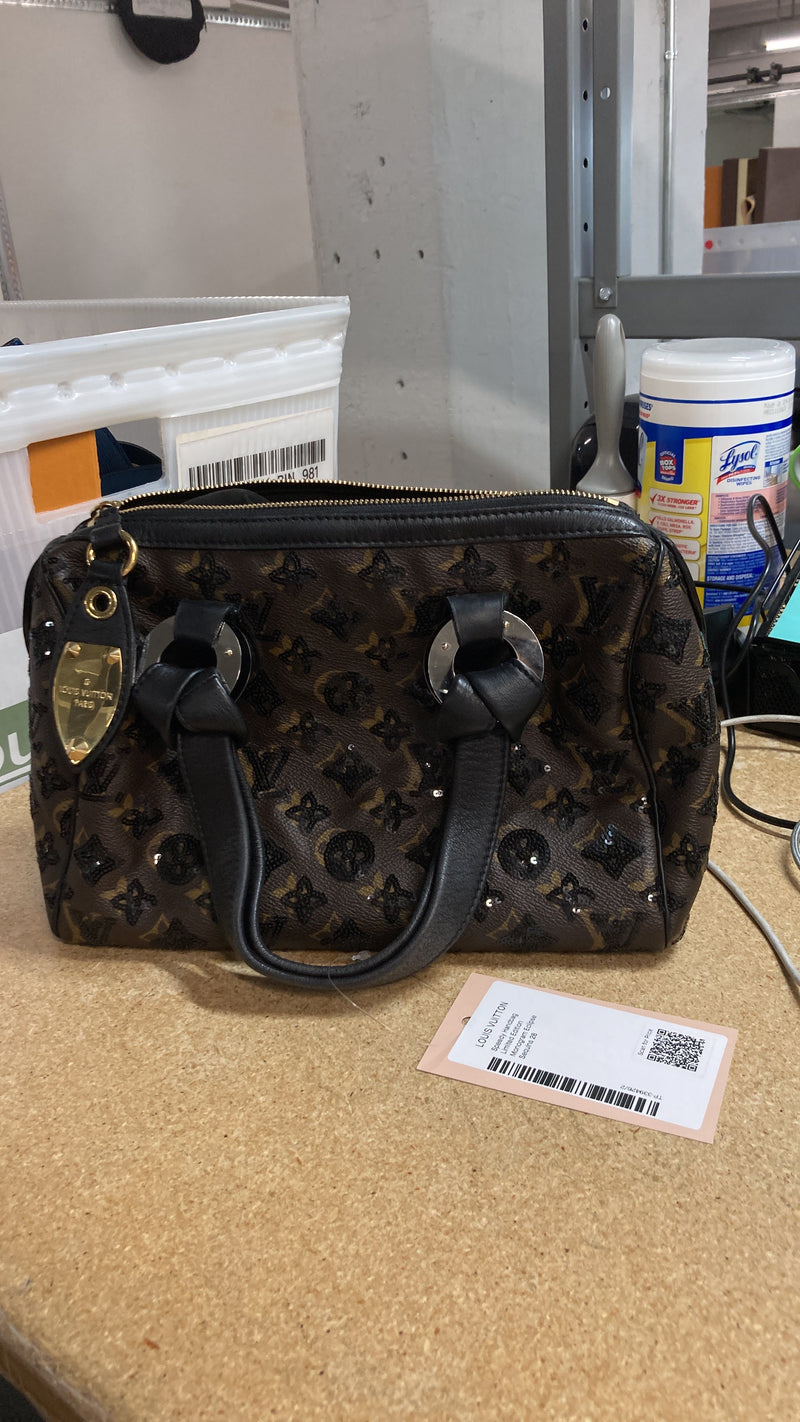 Louis Vuitton Speedy Handbag Limited