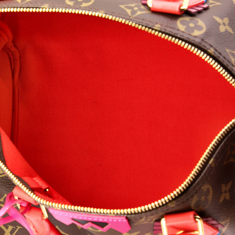 Louis Vuitton Speedy Handbag Limited