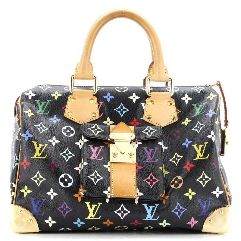 Louis Vuitton Speedy Handbag Multicolor