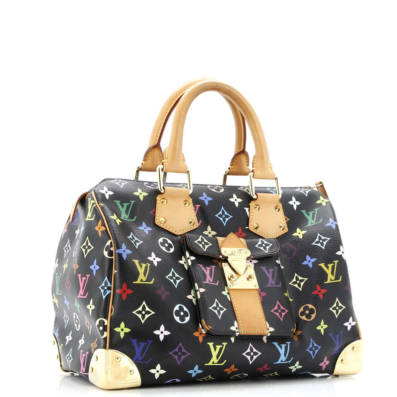 Louis Vuitton Speedy Handbag Multicolor