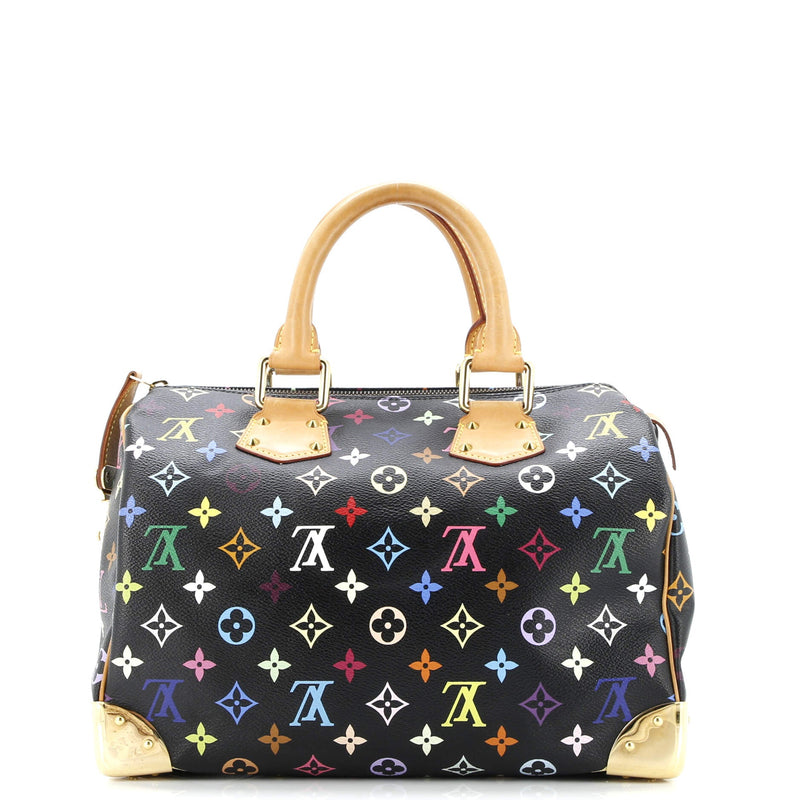 Louis Vuitton Speedy Handbag Multicolor