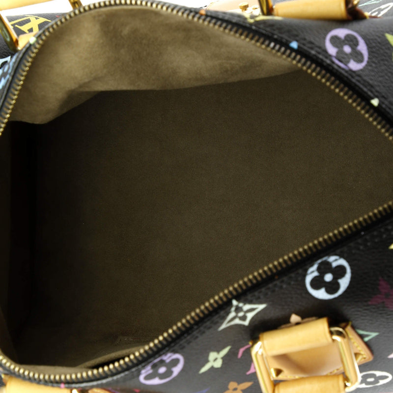 Louis Vuitton Speedy Handbag Multicolor