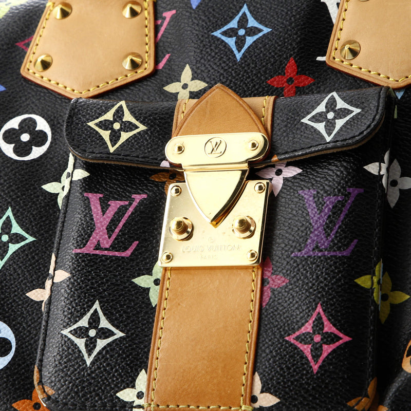 Louis Vuitton Speedy Handbag Multicolor