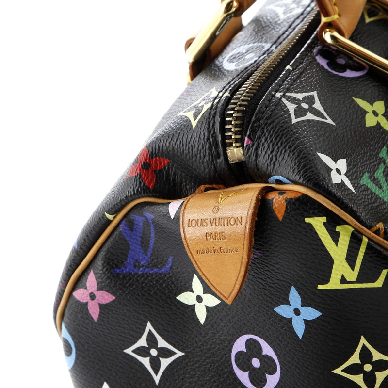 Louis Vuitton Speedy Handbag Multicolor