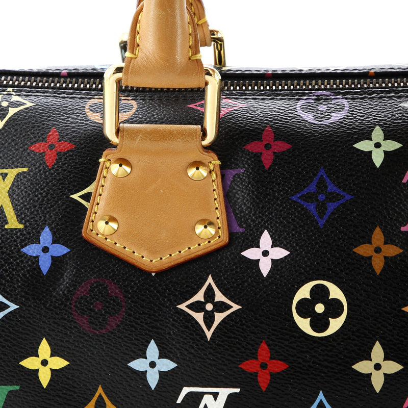 Louis Vuitton Speedy Handbag Multicolor