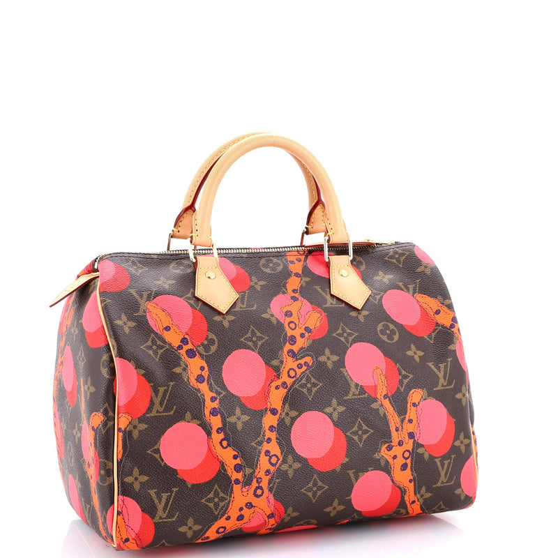 Louis Vuitton Speedy Handbag Limited