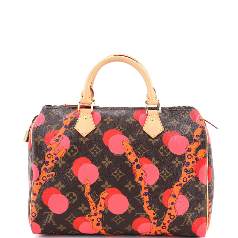 Louis Vuitton Speedy Handbag Limited