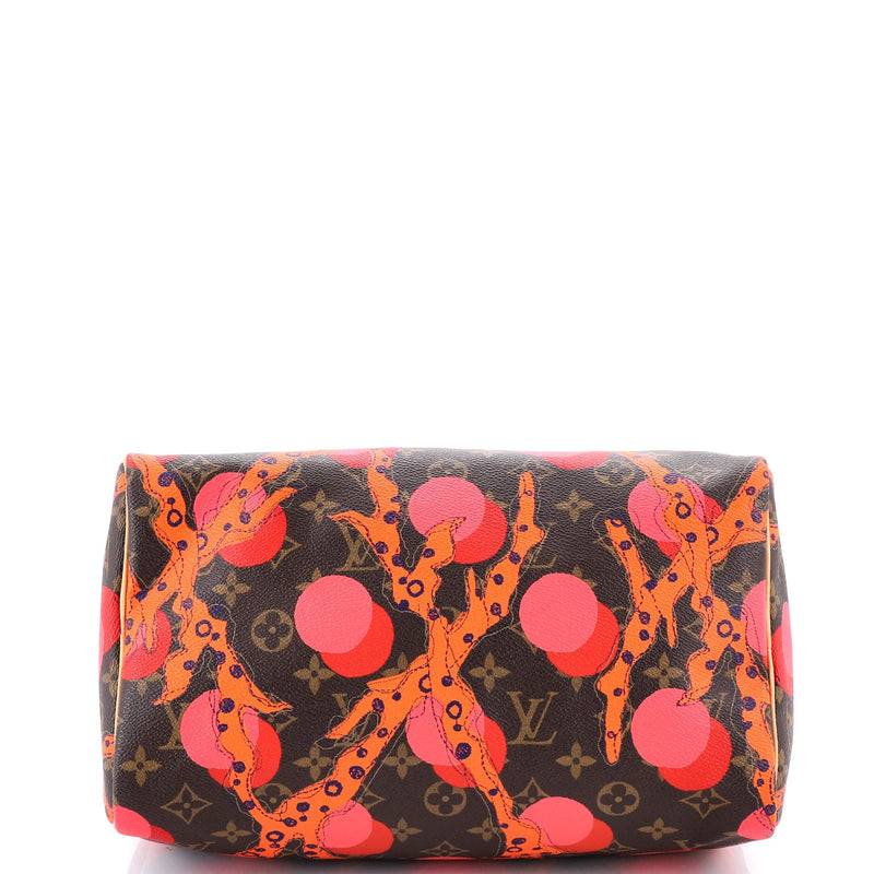 Louis Vuitton Speedy Handbag Limited