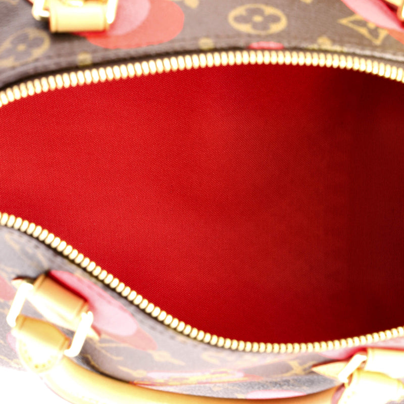 Louis Vuitton Speedy Handbag Limited