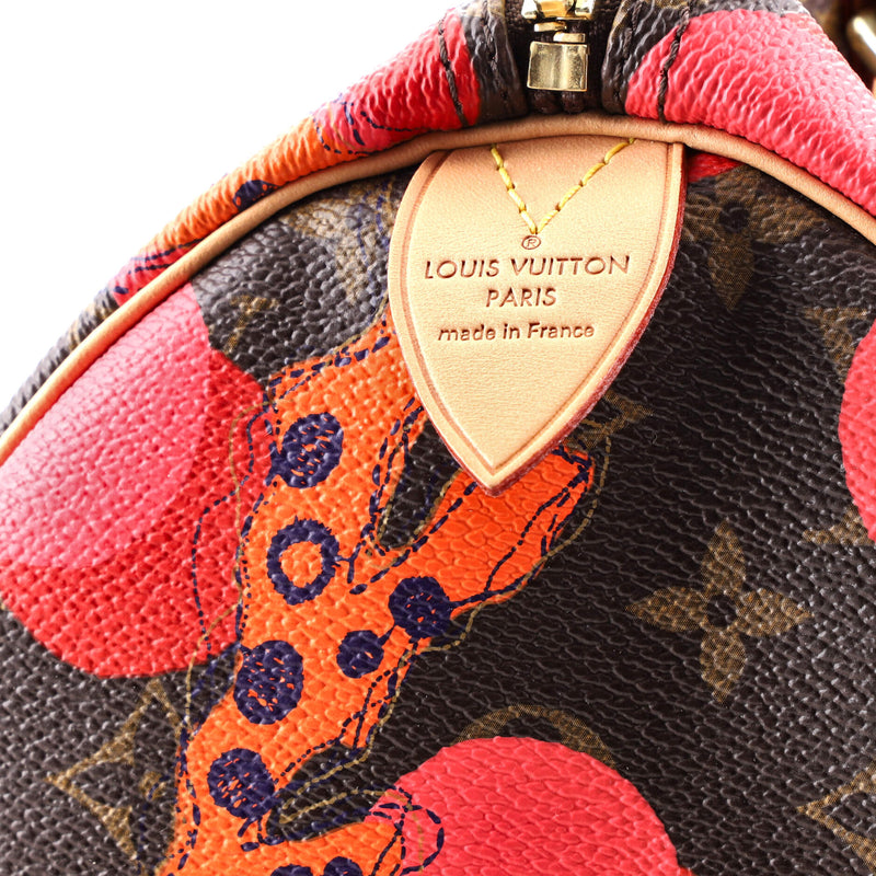 Louis Vuitton Speedy Handbag Limited