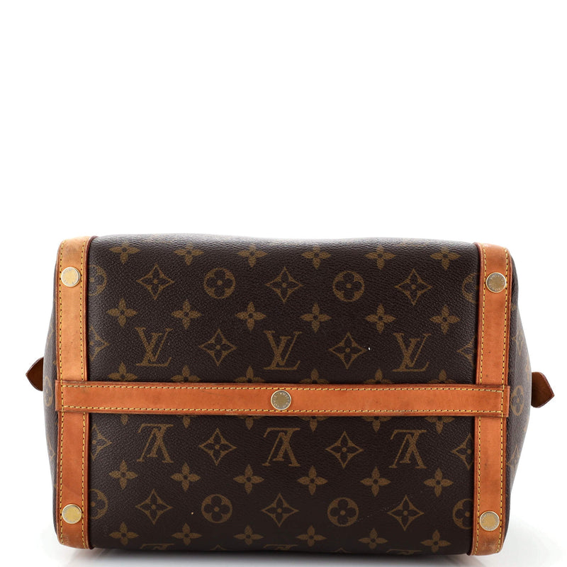 Louis Vuitton Marais Handbag Canvas Mm
