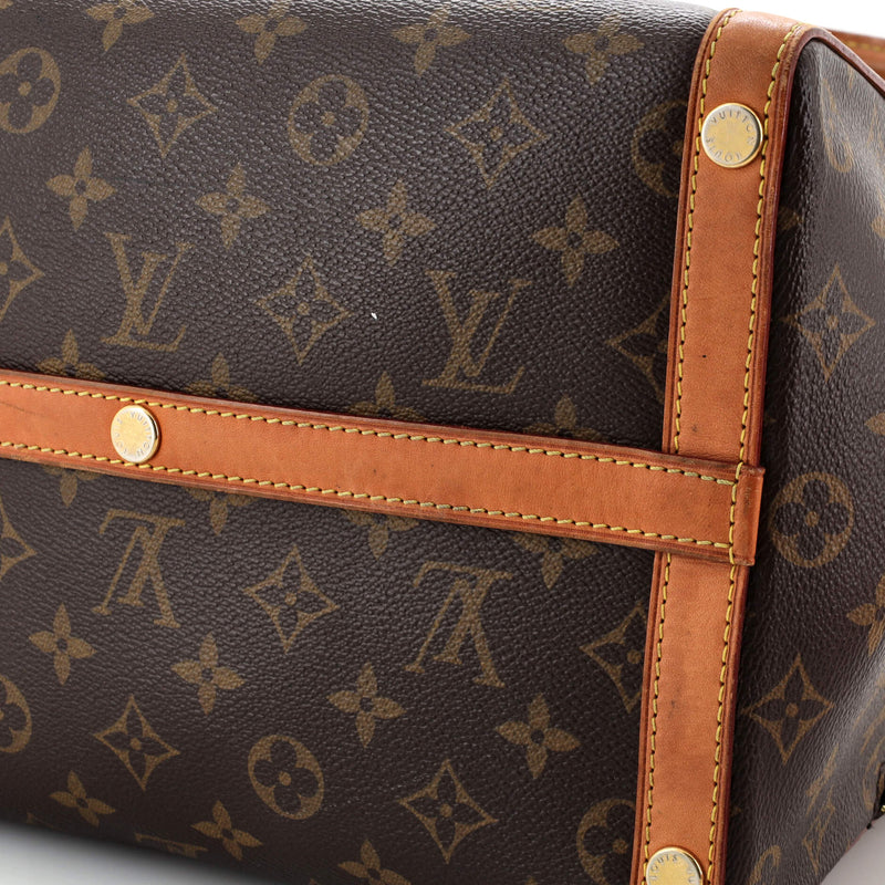 Louis Vuitton Marais Handbag Canvas Mm