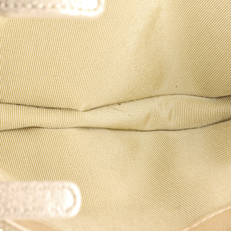 Chanel Double Zip Clutch With Chain
