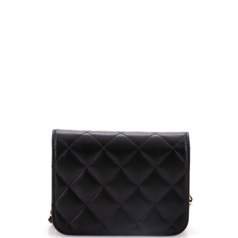 Chanel Bow Strap Card Holder On Chain