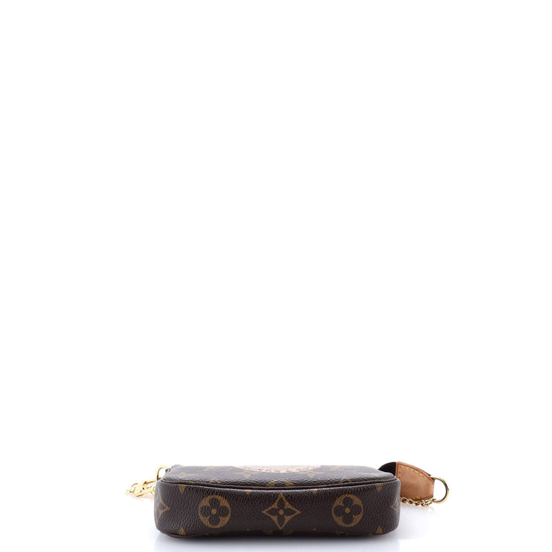 Louis Vuitton Pochette Accessoires
