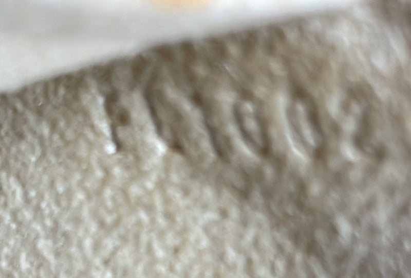 Louis Vuitton Florentine Waist Bag