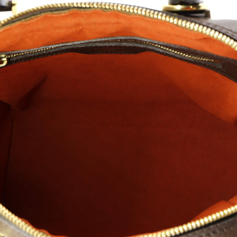 Louis Vuitton Brera Handbag Damier