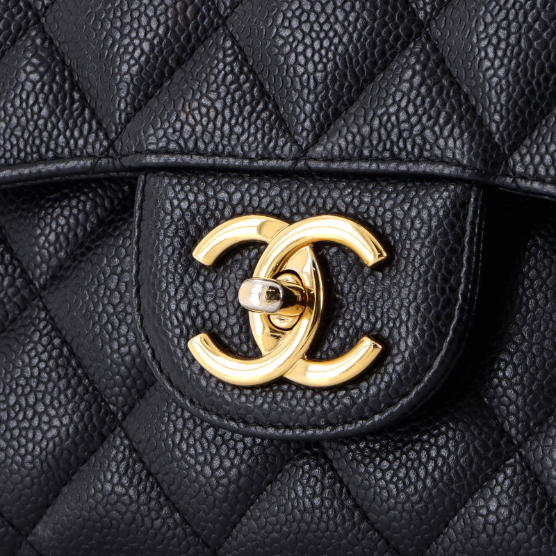 Chanel Classic Double Flap Bag Quilted