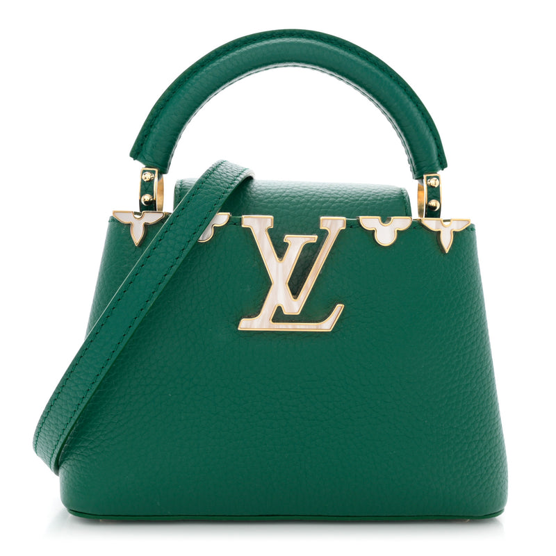 Louis Vuitton Taurillon Embellished