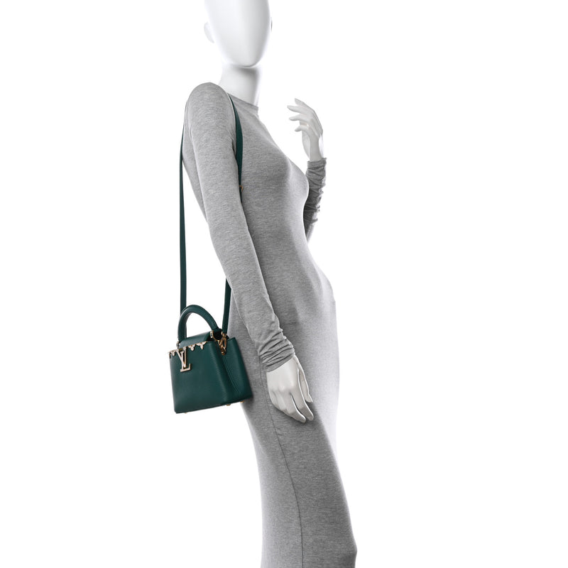 Louis Vuitton Taurillon Embellished