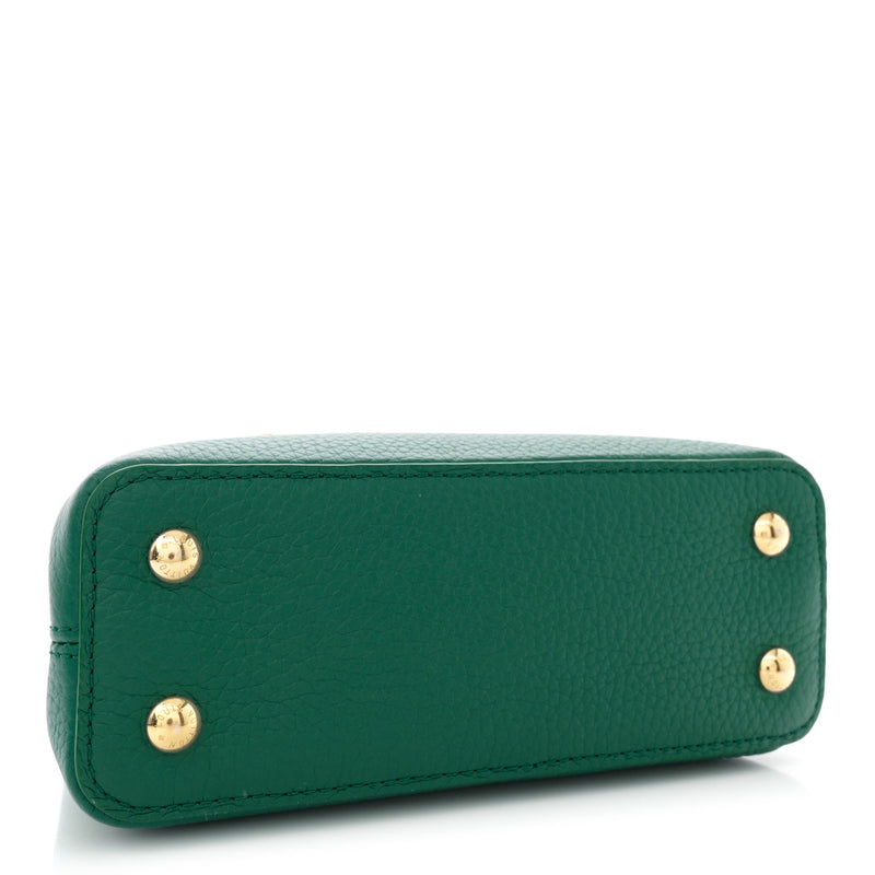 Louis Vuitton Taurillon Embellished