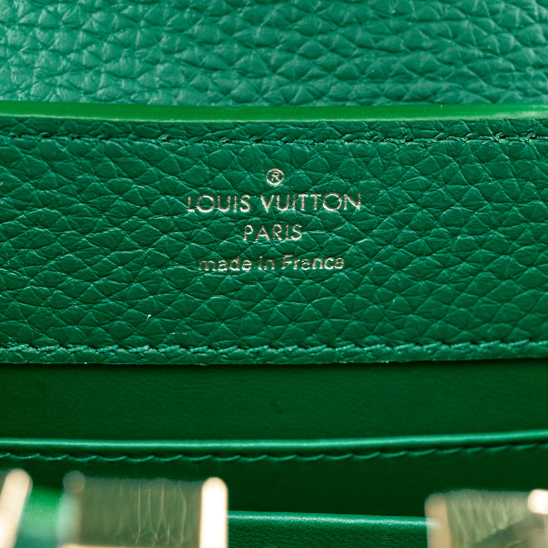 Louis Vuitton Taurillon Embellished