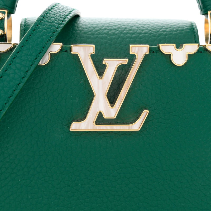Louis Vuitton Taurillon Embellished