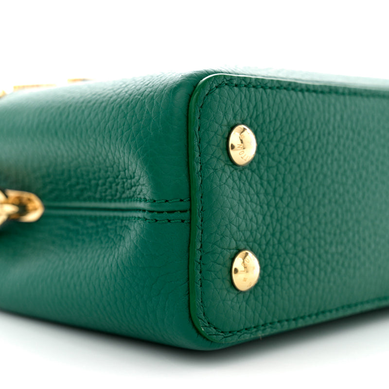 Louis Vuitton Taurillon Embellished