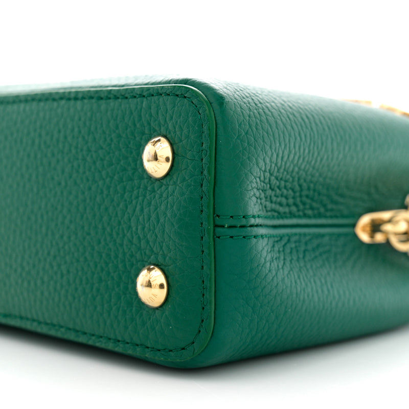 Louis Vuitton Taurillon Embellished