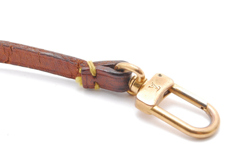 Louis Vuitton Pochette Accessoires Lv