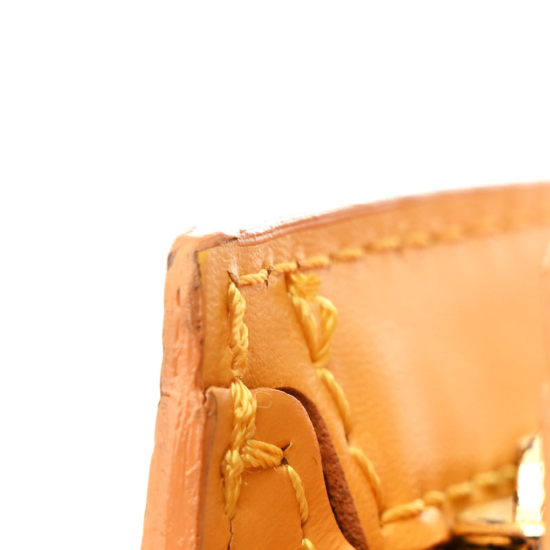 Louis Vuitton Epi Saint Jacques Pm