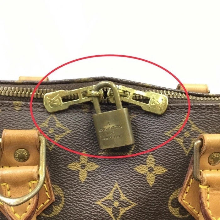 Louis Vuitton Alma Handbag Brown Lv