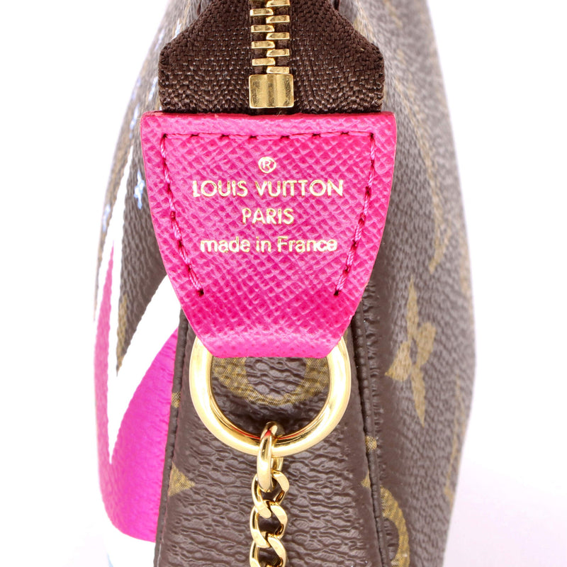 Louis Vuitton Pochette Accessoires