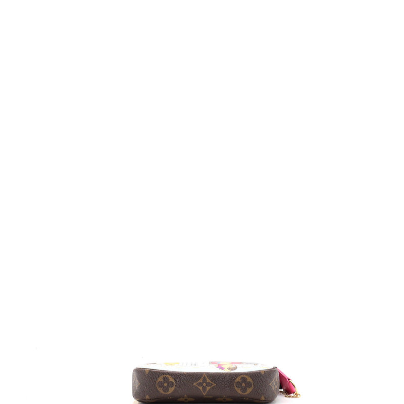 Louis Vuitton Pochette Accessoires