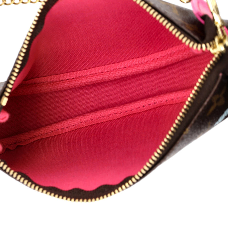 Louis Vuitton Pochette Accessoires