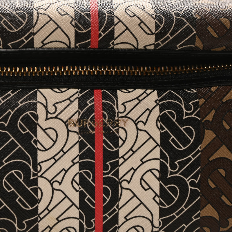 Burberry E-Canvas Stripe Medium Sonny