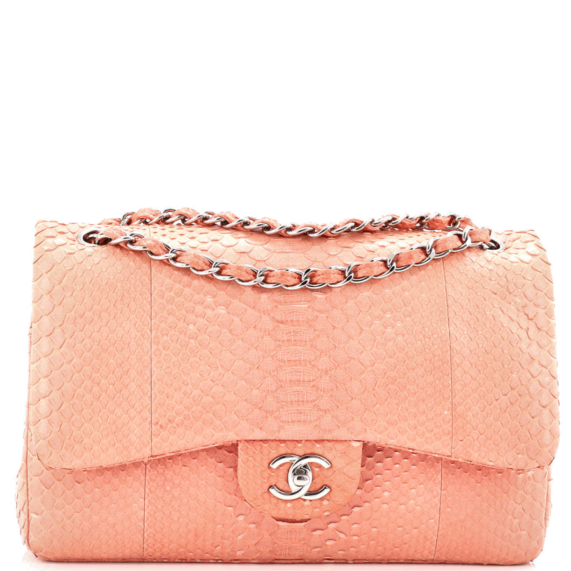 Chanel Classic Double Flap Bag Python